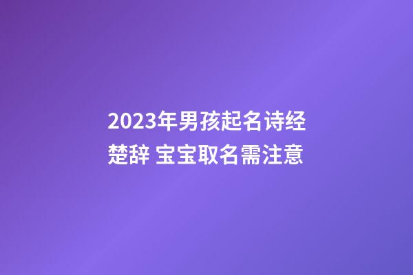 2023年男孩起名诗经楚辞 宝宝取名需注意